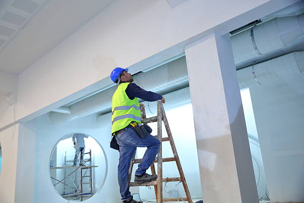 Trusted Meadow Oaks, FL Mold Removal Experts
